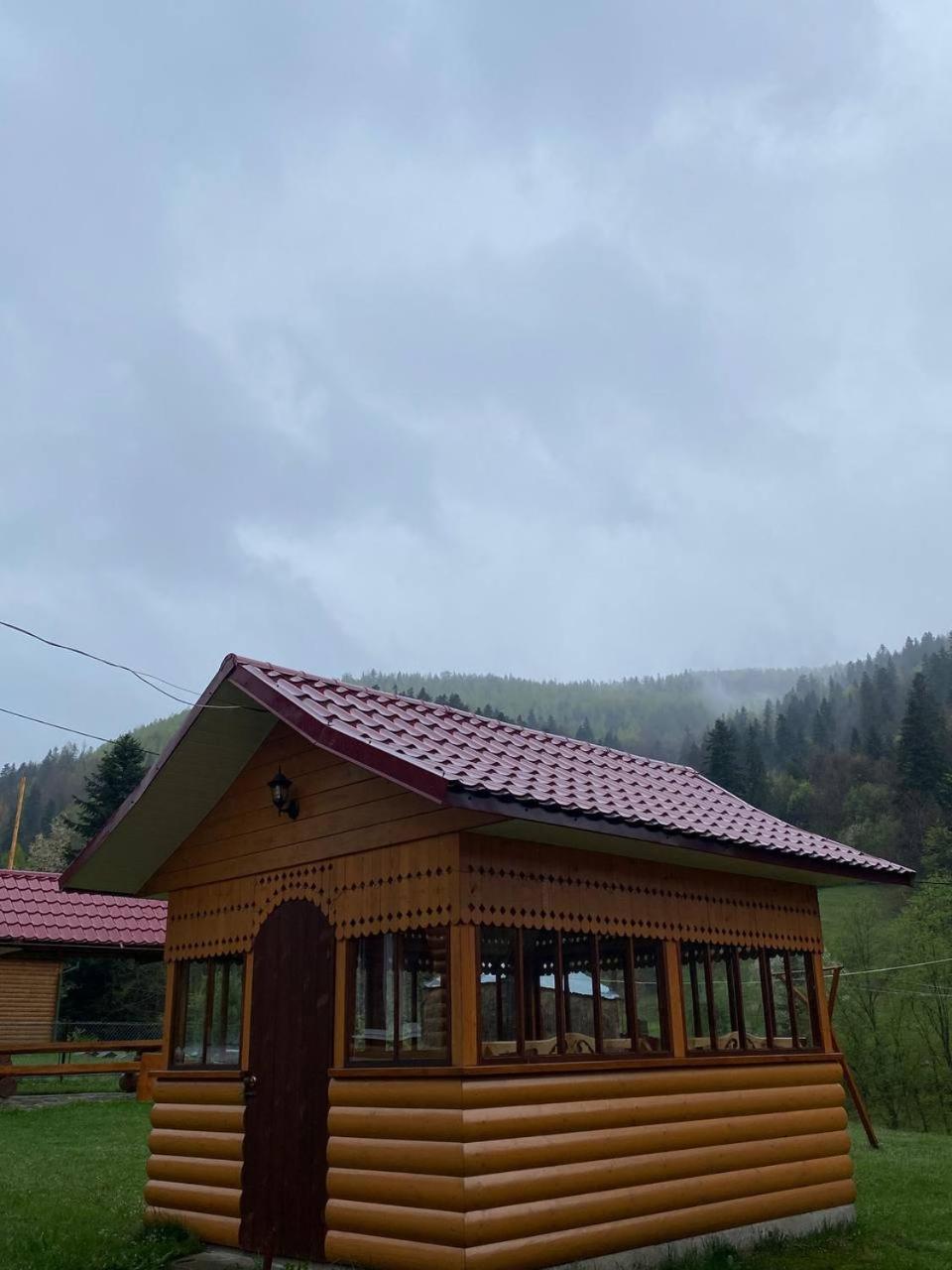 Апартаменты Карпатська Полонина Яремча Экстерьер фото